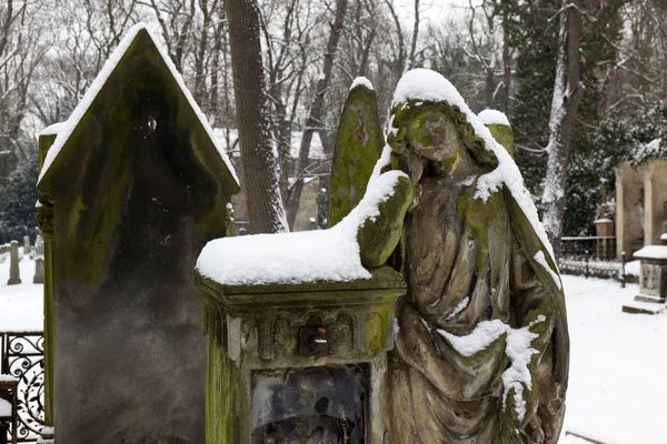 雪に覆われた Statuel から冬謎古い墓地プラハ、チェコ — ストック写真