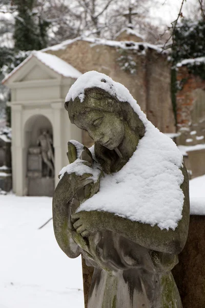 雪に覆われた Statuel から冬謎古い墓地プラハ、チェコ — ストック写真