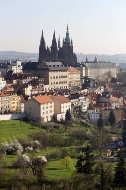 Bahar Prague City ile Gotik Kalesi ve yeşil doğa ve çiçekli ağaçlar, Çek Cumhuriyeti
