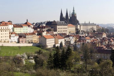 Bahar Prague City ile Gotik Kalesi ve yeşil doğa ve çiçekli ağaçlar, Çek Cumhuriyeti
