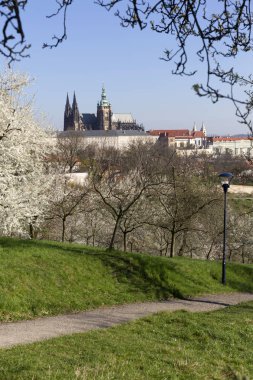 Bahar Prague City ile Gotik Kalesi ve yeşil doğa ve çiçekli ağaçlar, Çek Cumhuriyeti