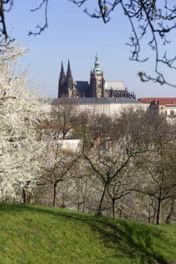 Bahar Prague City ile Gotik Kalesi ve yeşil doğa ve çiçekli ağaçlar, Çek Cumhuriyeti