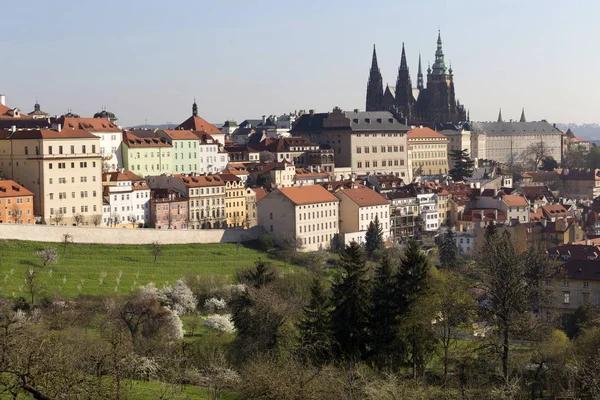 Άνοιξη Prague City με γοτθικό κάστρο και το πράσινο της φύσης και τα ανθίζοντας δέντρα, Τσεχική Δημοκρατία — Φωτογραφία Αρχείου