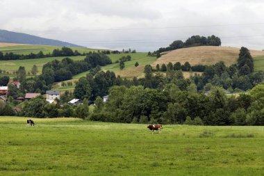 Beskydy kırsal, güzel dağlara Kuzey Bohemia, Çek Cumhuriyeti