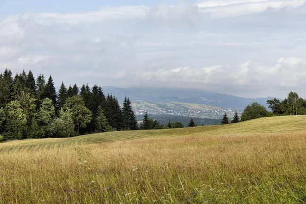 Beskydy campo, as belas montanhas no norte da Boêmia, República Checa — Fotografia de Stock