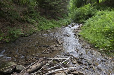 Beskydy kırsal, güzel dağlara Kuzey Bohemia, Çek Cumhuriyeti