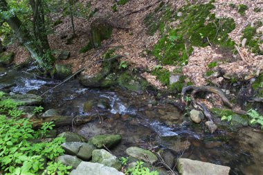 Beskydy kırsal, güzel dağlara Kuzey Bohemia, Çek Cumhuriyeti