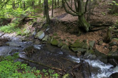 Beskydy kırsal, güzel dağlara Kuzey Bohemia, Çek Cumhuriyeti
