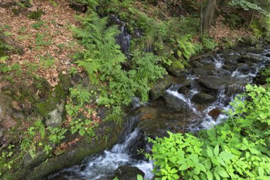 Beskydy kırsal, güzel dağlara Kuzey Bohemia, Çek Cumhuriyeti