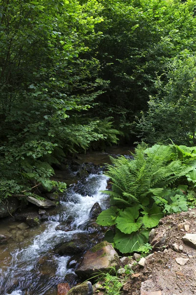 Beskydy landsbygden, de vackra bergen i norra Böhmen, Tjeckien — Stockfoto