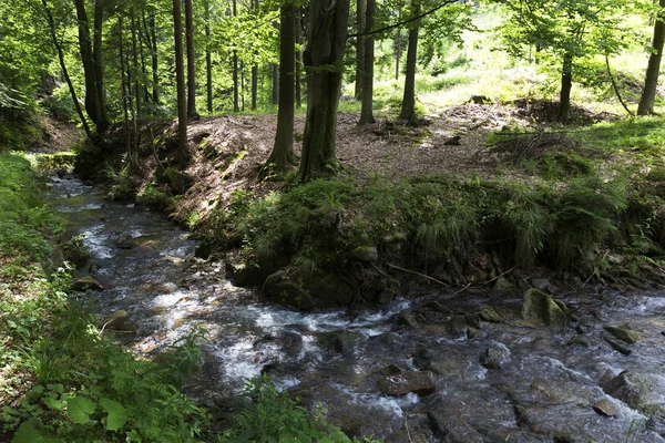 Beskydy の田園地帯、北ボヘミア、チェコ共和国で美しい山々 — ストック写真