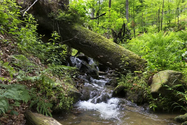 Beskydy landsbygden, de vackra bergen i norra Böhmen, Tjeckien — Stockfoto