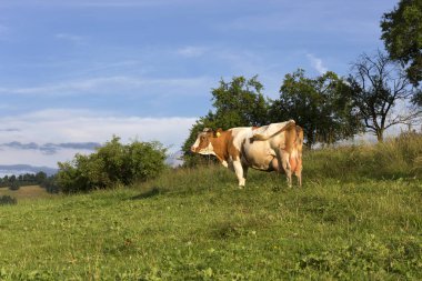 Beskydy, Kuzey Doğu Bohemia, Çek Cumhuriyeti güzel dağlarda kırsal temizleyin