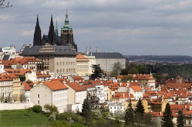 Bahar Prague City ile Gotik Kalesi ve yeşil doğa ve çiçekli ağaçlar, Çek Cumhuriyeti