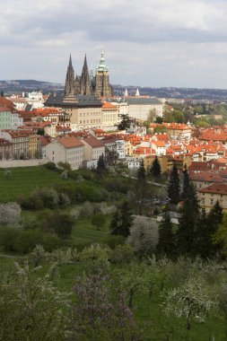 Bahar Prague City ile Gotik Kalesi ve yeşil doğa ve çiçekli ağaçlar, Çek Cumhuriyeti