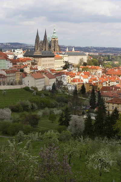 Bahar Prague City ile Gotik Kalesi ve yeşil doğa ve çiçekli ağaçlar, Çek Cumhuriyeti