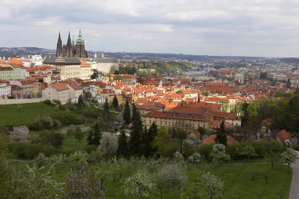 Spring City – miasto Praga z gotyckiego zamku i zieleni i kwitnących drzew, Republika Czeska — Zdjęcie stockowe