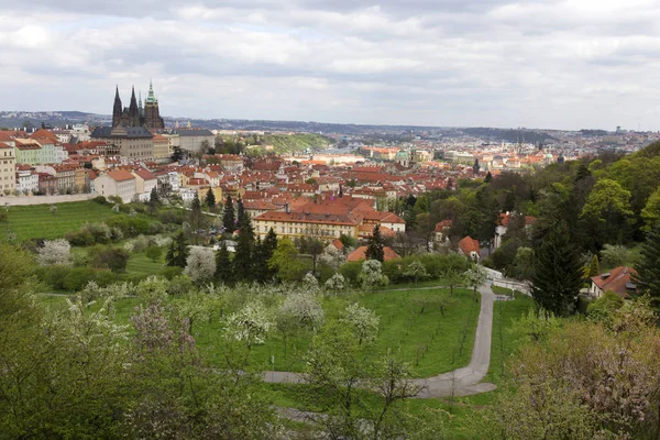 Bahar Prague City ile Gotik Kalesi ve yeşil doğa ve çiçekli ağaçlar, Çek Cumhuriyeti