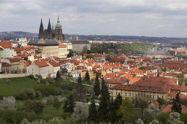 Jaro Prague City s gotického hradu a zelené přírody a kvetoucích stromů, Česká republika — Stock fotografie