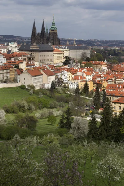 Spring Prague City com Castelo Gótico e o verde Natureza e Floração Árvores, República Checa — Fotografia de Stock