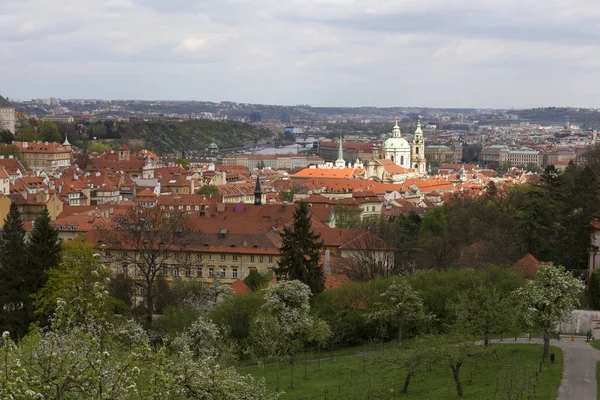 Vue sur le printemps Prague City avec la nature verte et les arbres à fleurs, République tchèque — Photo