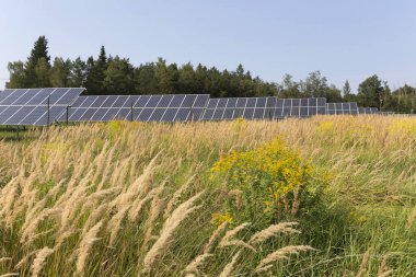 Çayır çiçekli yaz Solar Power Station 