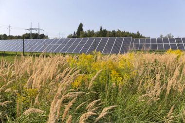 Çayır çiçekli yaz Solar Power Station 