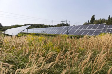Çayır çiçekli yaz Solar Power Station 