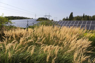 Çayır çiçekli yaz Solar Power Station 