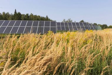 Çayır çiçekli yaz Solar Power Station 