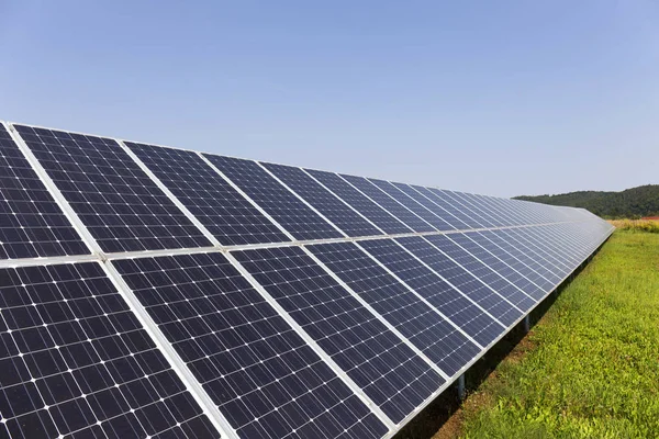 夏の牧草地の開花への太陽光発電所 — ストック写真