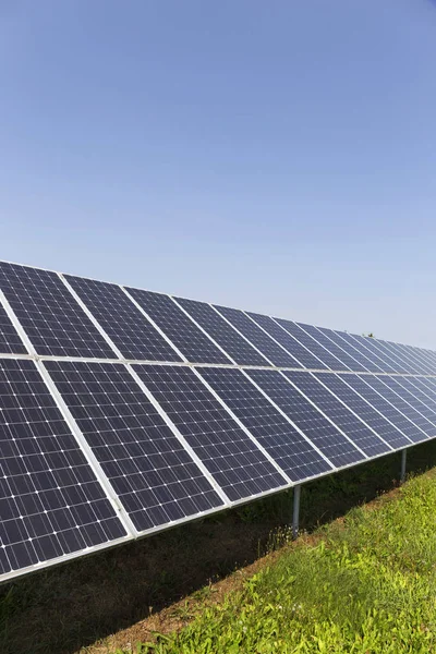 夏の牧草地の開花への太陽光発電所 — ストック写真