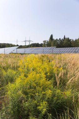 Solar Power Station yaz çayır 