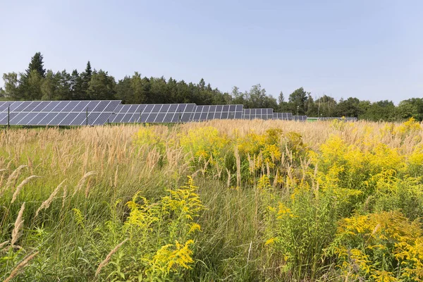 Solar Power Station yaz çayır 