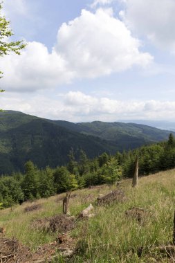 Dağlar Beskydy Kuzey Doğu Bohemia, Çek Cumhuriyeti yaz yeşil kırsal temizleyin