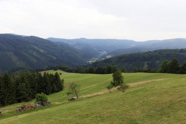 Dağlar Beskydy Kuzey Doğu Bohemia, Çek Cumhuriyeti yaz yeşil kırsal temizleyin