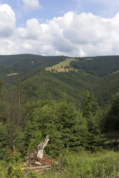 Wyczyścić zieleni latem Beskidy góry w północno-wschodnie, Czechy — Zdjęcie stockowe