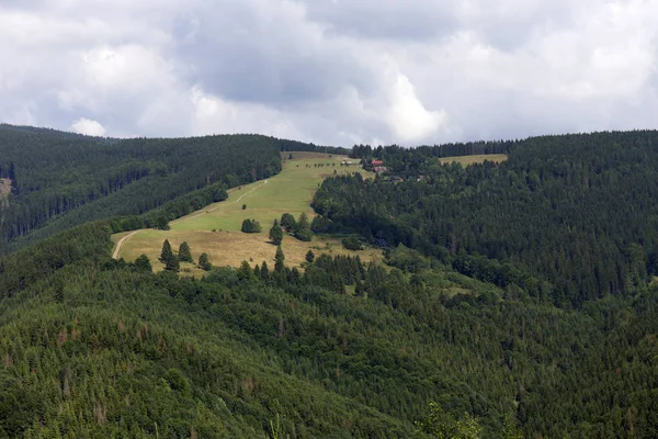 Klart gröna landsbygden från sommaren bergen Beskydy i norr östra Böhmen, Tjeckien — Stockfoto