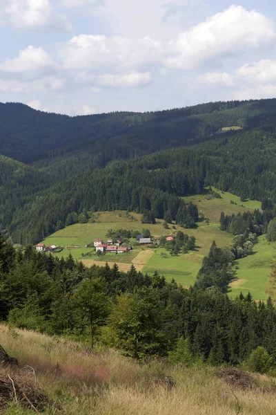 Világos zöld vidék, a nyári hegyek Beszkidek észak keleti Csehországban, Cseh Köztársaság — Stock Fotó