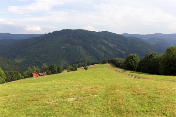 Dağlar Beskydy Kuzey Doğu Bohemia, Çek Cumhuriyeti yaz yeşil kırsal temizleyin