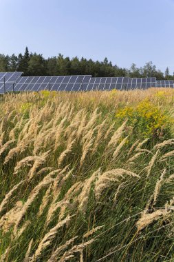 Solar Power Station yaz çayır 