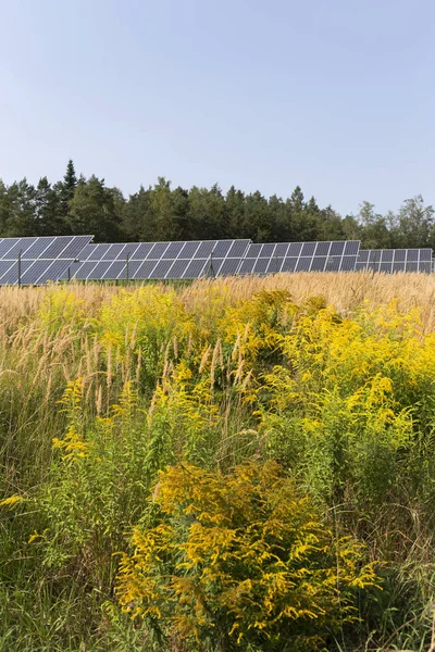 Solar Power Station yaz çayır 