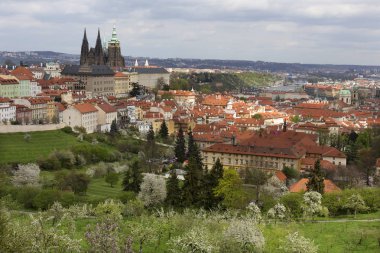 Bahar Prague City ile Gotik Kalesi ve yeşil doğa ve çiçekli ağaçlar, Çek Cumhuriyeti