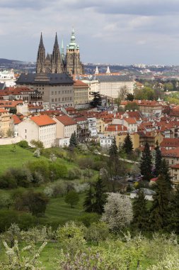 Bahar Prague City ile Gotik Kalesi ve yeşil doğa ve çiçekli ağaçlar, Çek Cumhuriyeti