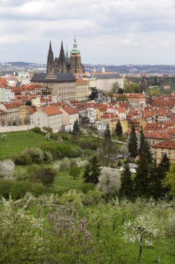 Bahar Prague City ile Gotik Kalesi ve yeşil doğa ve çiçekli ağaçlar, Çek Cumhuriyeti