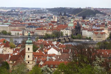 Doğa ve çiçekli ağaçlar, Çek Cumhuriyeti Prag şehir bahar yeşil ile görüntüleyin