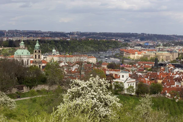 Переглянути на весну Празький місто з зеленим природи і квітучих дерев, Чеська Республіка — стокове фото