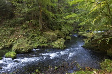 Vahşi sonbahar Creek Kamenice kumtaşı kayalar, Çek Cumhuriyeti ile çek İsviçre etrafında peyzaj