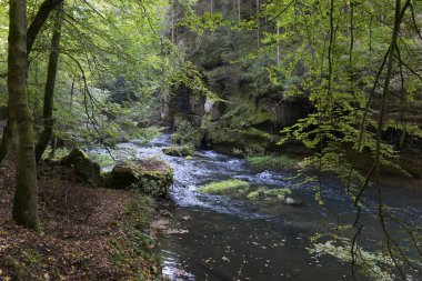 Vahşi sonbahar Creek Kamenice kumtaşı kayalar, Çek Cumhuriyeti ile çek İsviçre etrafında peyzaj