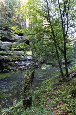 Vahşi sonbahar Creek Kamenice kumtaşı kayalar, Çek Cumhuriyeti ile çek İsviçre etrafında peyzaj